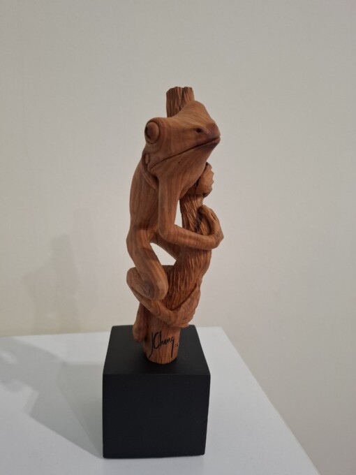 Червенооката дървесна жаба  P446 - Image 4