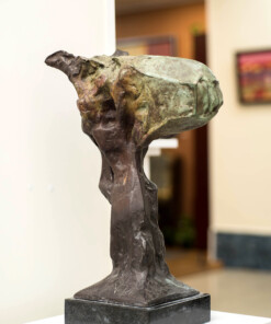 Вежди Рашидов - „ “ -  P455