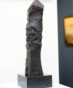 Alternative view of Вежди Рашидов - „ “ -  P451